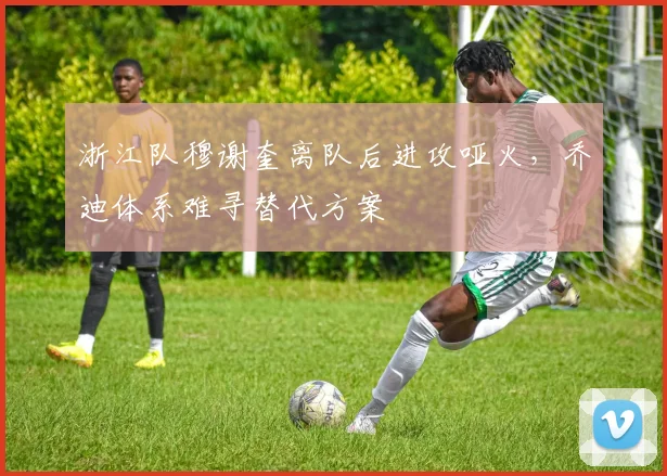 浙江队穆谢奎离队后进攻哑火,乔迪体系难寻替代方案